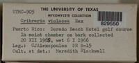 Image Associated With the Occurence